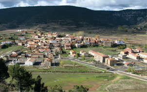 Vista de la localidad de Royuela